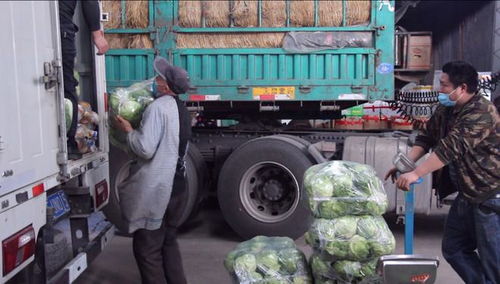 实拍 疫情防控下的晋城,这些人仍在街头...